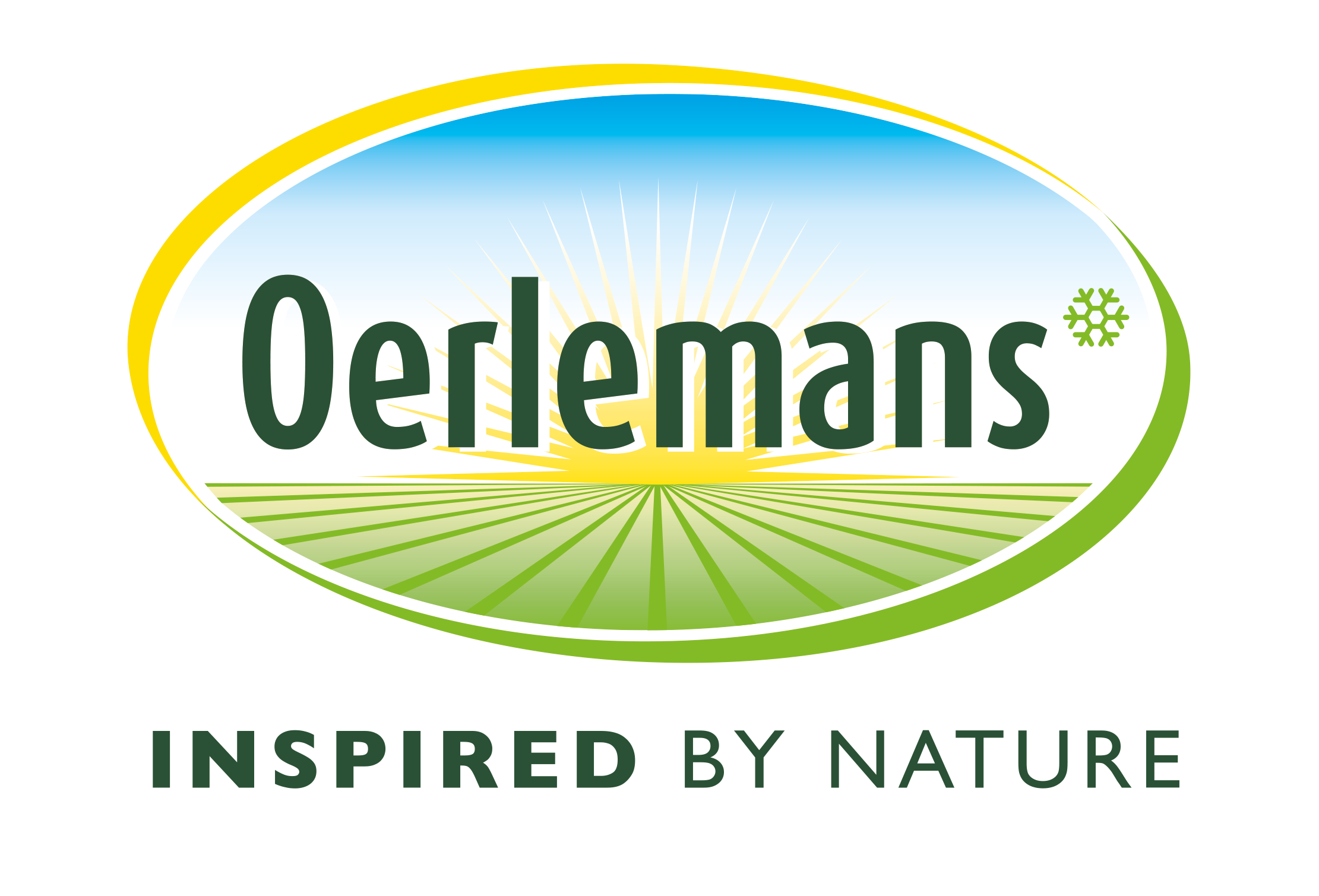 Oerlemans